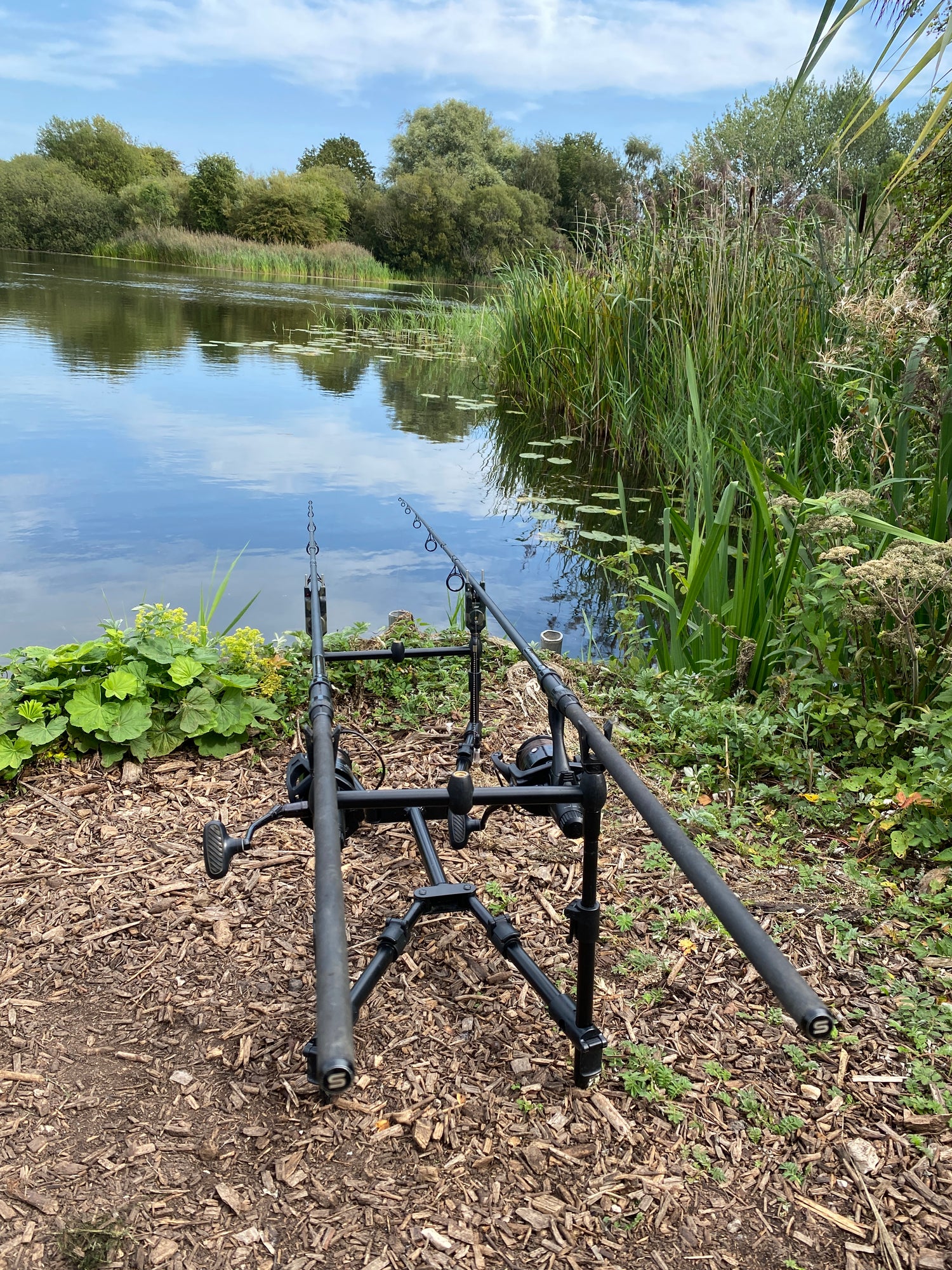 Fishing rod on a rod pod by a lake with trees and clear sky